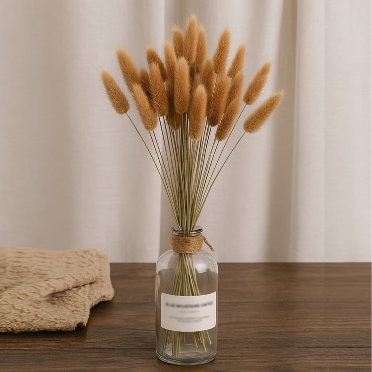 HOMESAKE Set of 30 Natural Dried Pampas Grass - 55cm