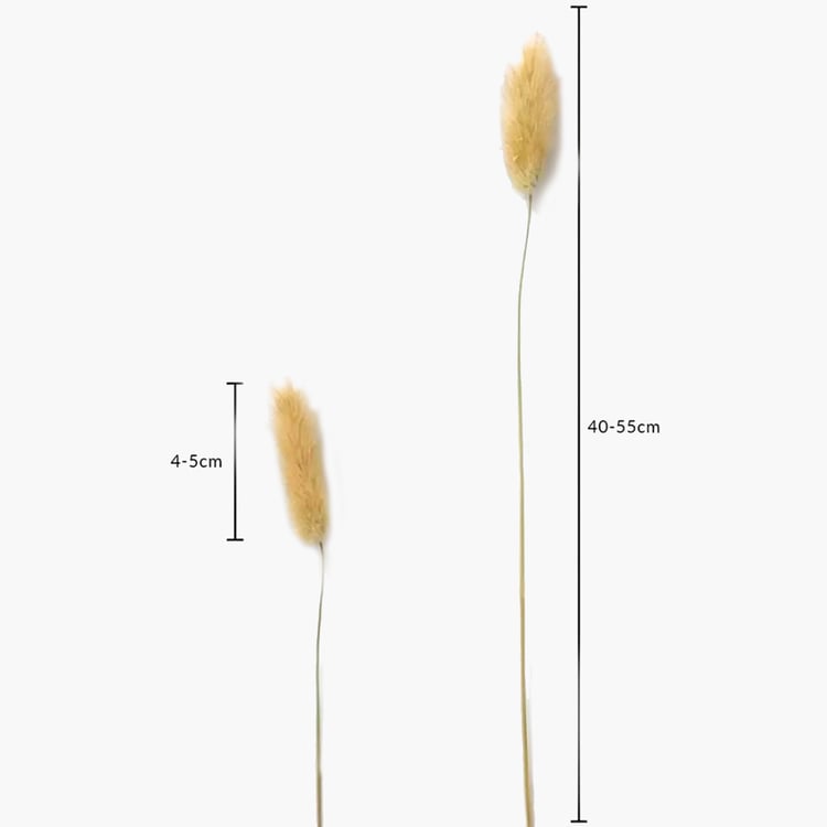 HOMESAKE Set of 30 Natural Dried Pampas Grass - 55cm