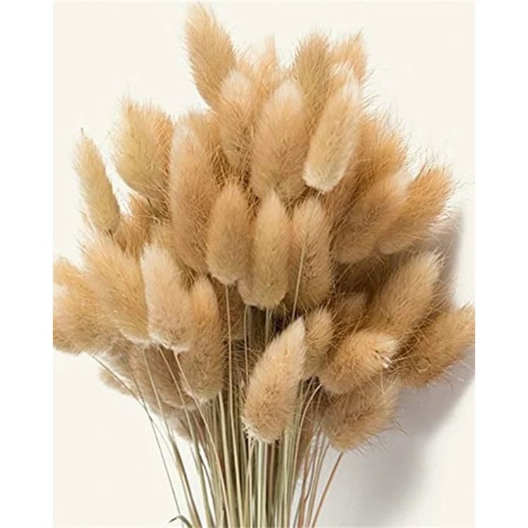 HOMESAKE Set of 30 Natural Dried Pampas Grass - 55cm