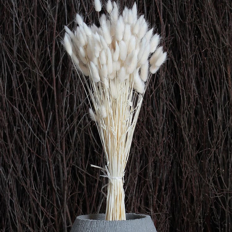 HOMESAKE Set of 30 Natural Dried Pampas Grass Sticks - 55.8cm