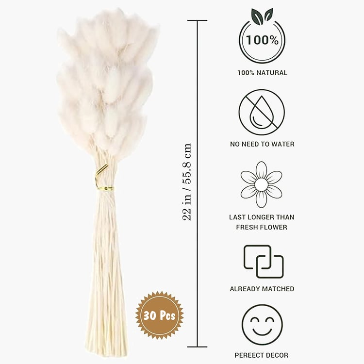HOMESAKE Set of 30 Natural Dried Pampas Grass Sticks - 55.8cm