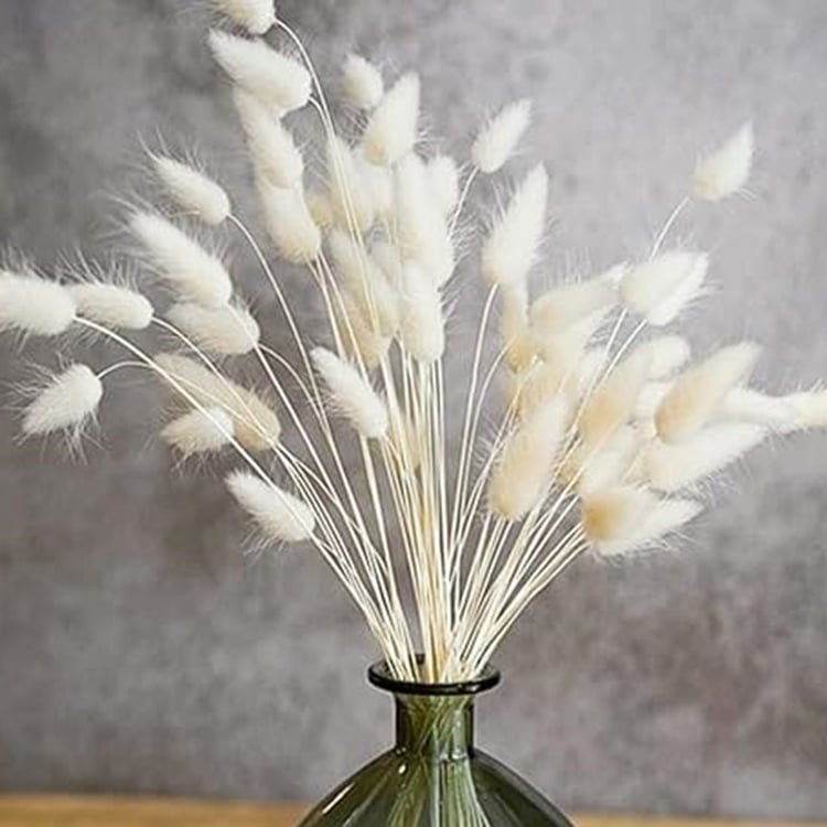 HOMESAKE Set of 30 Natural Dried Pampas Grass Sticks - 55.8cm