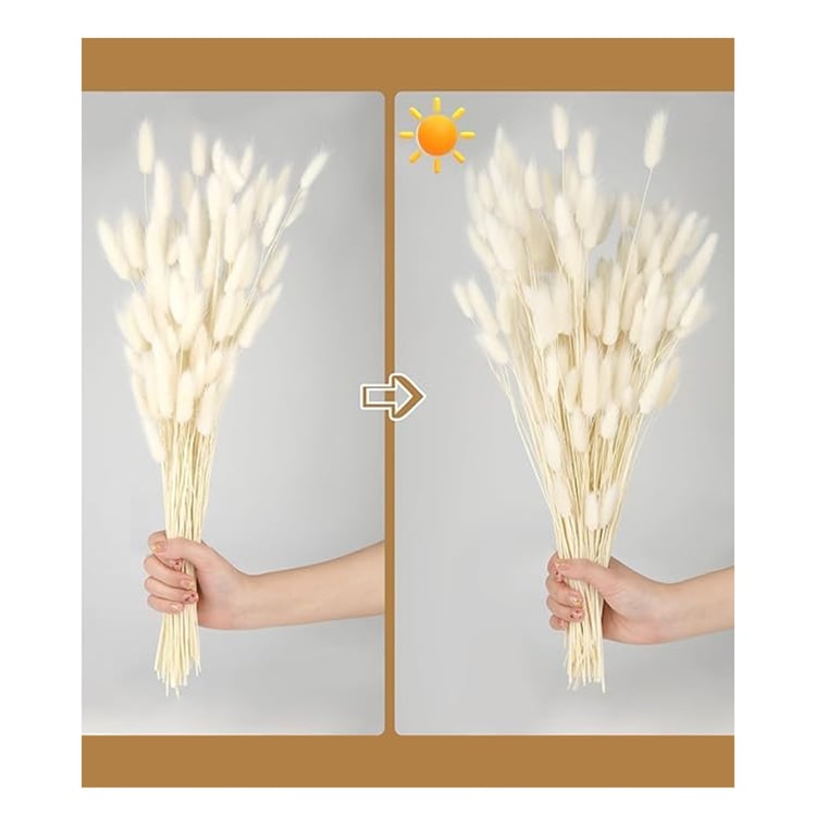 HOMESAKE Set of 60 Natural Dried Pampas Grass Sticks - 55.8cm