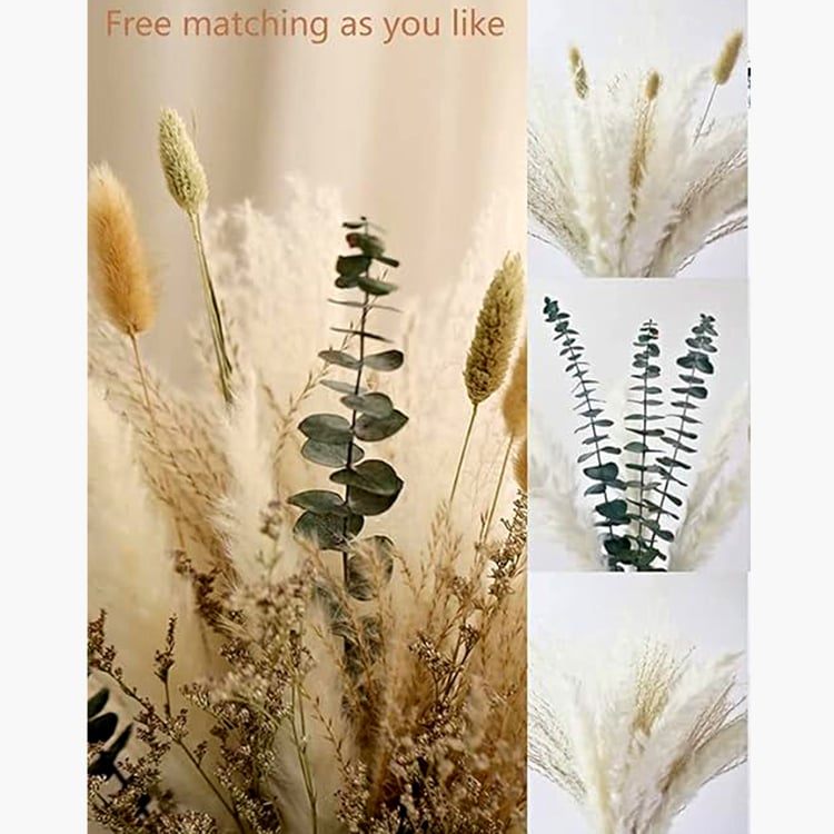 HOMESAKE Set of 70 Natural Dried Grass Sticks - 70cm