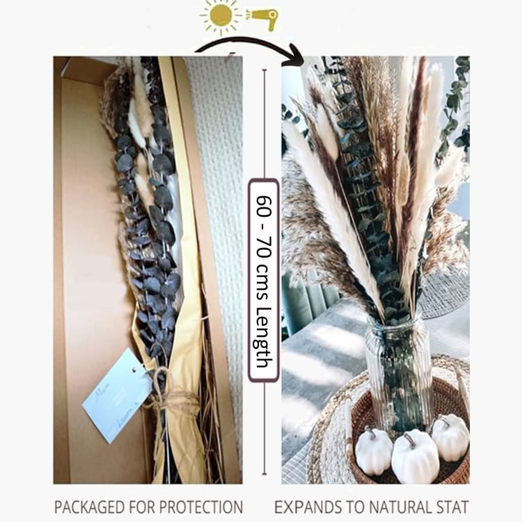 HOMESAKE Set of 70 Natural Dried Grass Sticks - 70cm