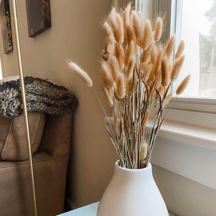 HOMESAKE Set of 30 Natural Dried Pampas Grass Sticks - 60cm