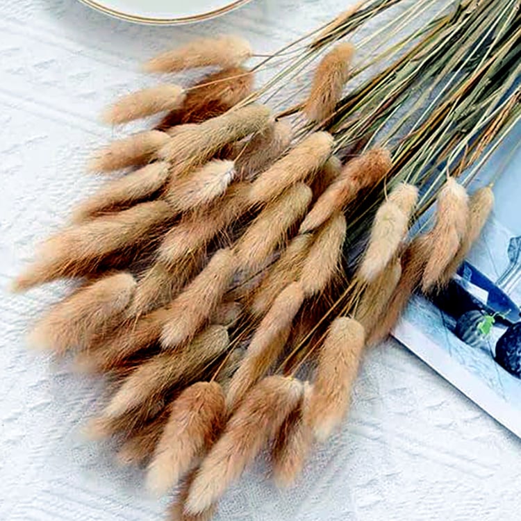 HOMESAKE Set of 30 Natural Dried Pampas Grass Sticks - 60cm