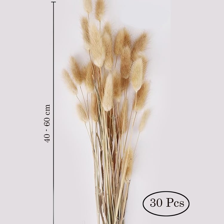 HOMESAKE Set of 30 Natural Dried Pampas Grass Sticks - 60cm