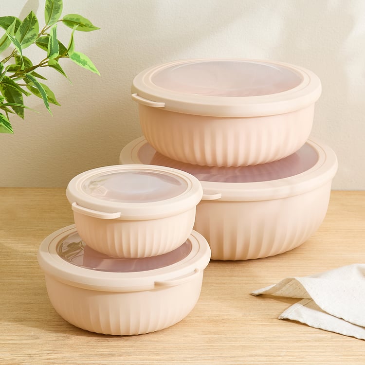 Omnis Aruba Set of 4 Polypropylene Storage Containers