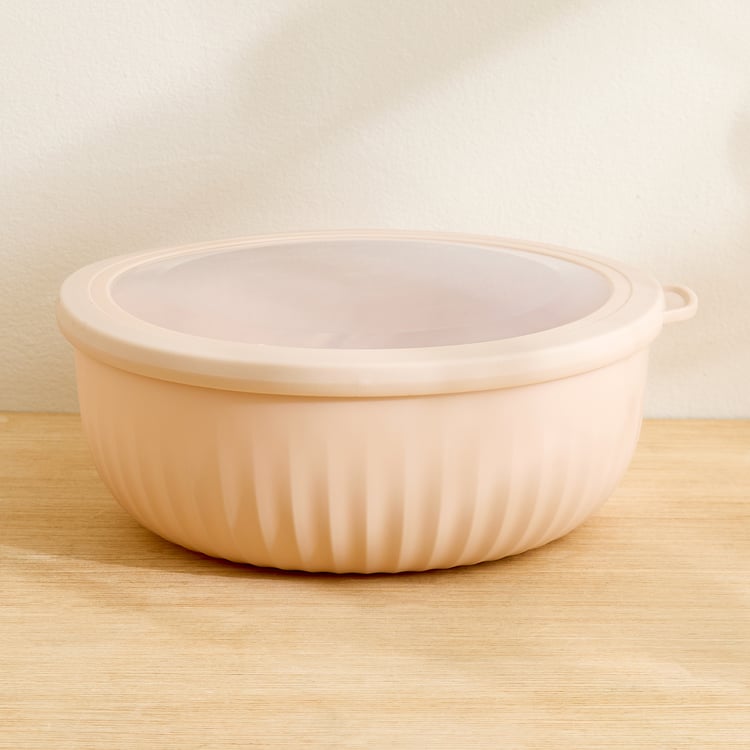 Omnis Aruba Set of 4 Polypropylene Storage Containers