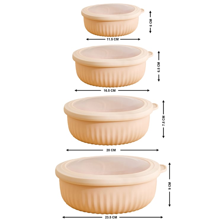 Omnis Aruba Set of 4 Polypropylene Storage Containers