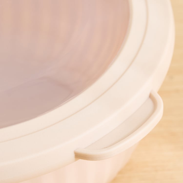 Omnis Aruba Set of 4 Polypropylene Storage Containers