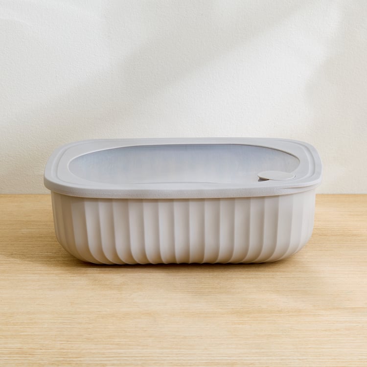 Omnis Aruba Set of 4 Polypropylene Storage Containers