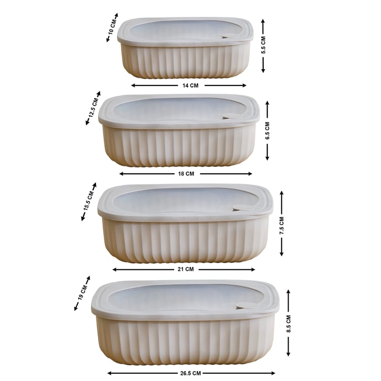 Omnis Aruba Set of 4 Polypropylene Storage Containers