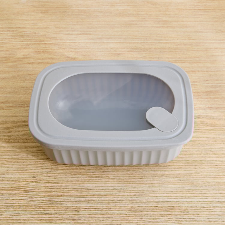 Omnis Aruba Set of 4 Polypropylene Storage Containers