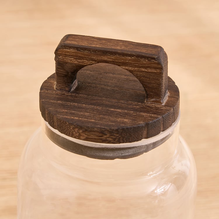 Oyster Auralis Glass Trinket Box - Large
