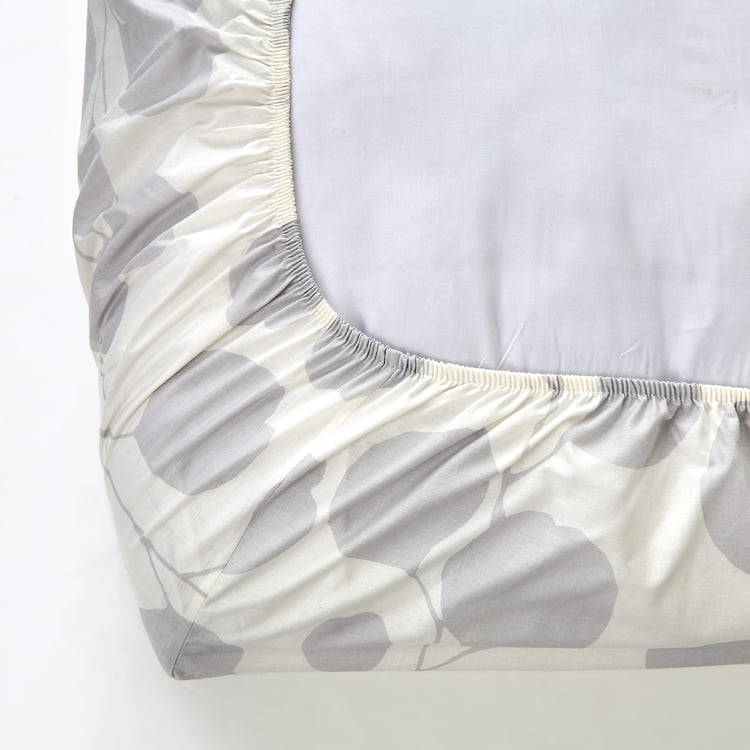 Iced Palace Louise Cotton 180TC Printed 3Pcs King Fitted Bedsheet Set