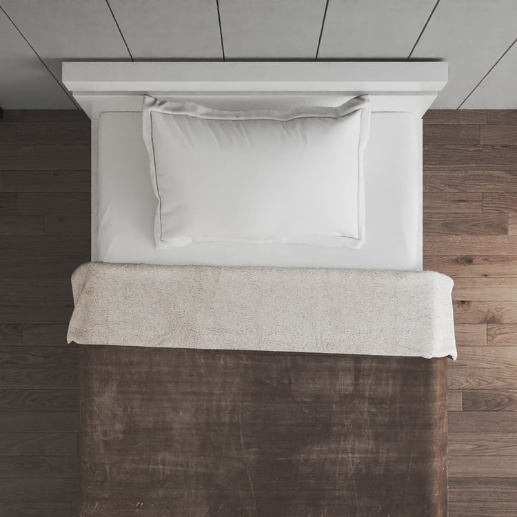 Cloud Cozy Sherpa Single Blanket