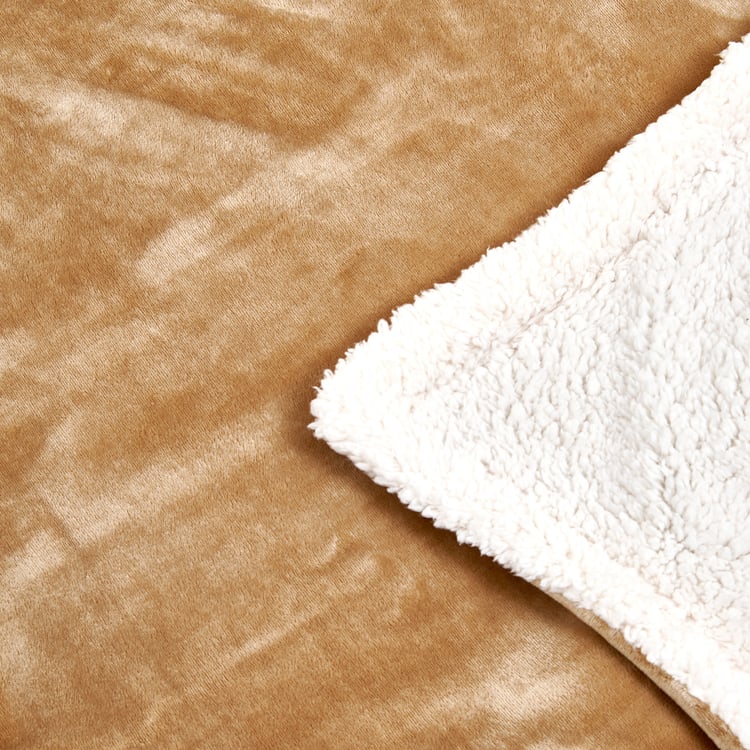 Cloud Cozy Sherpa Single Blanket
