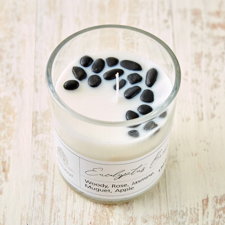 Verdant Eucalyptus Breeze Scented Jar Candle