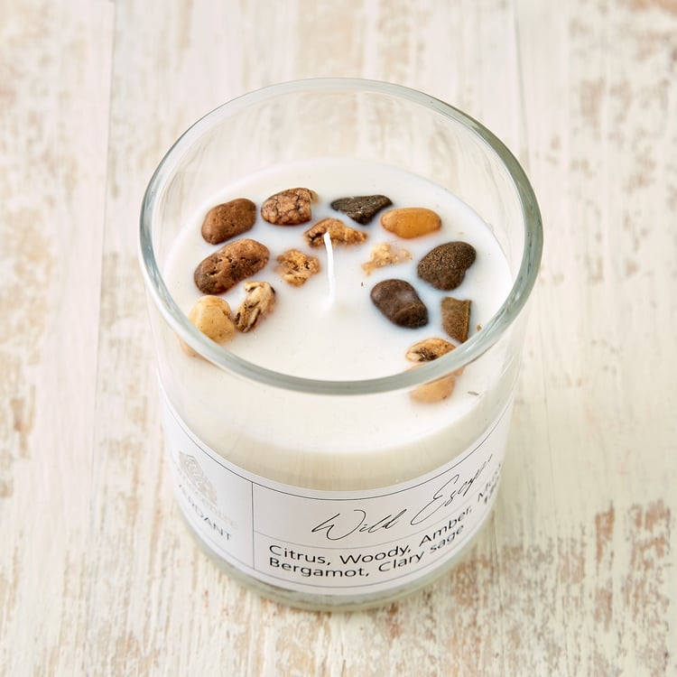 Verdant Wild Escape Scented Jar Candle