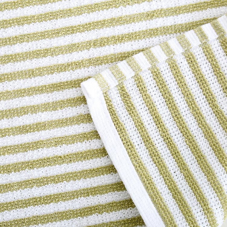 Fervid Botanica Set of 5 Cotton Striped Dish Towel