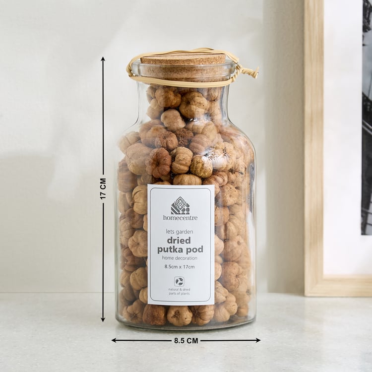 Lets Garden Hues Dried Putka Pod in Glass Jar