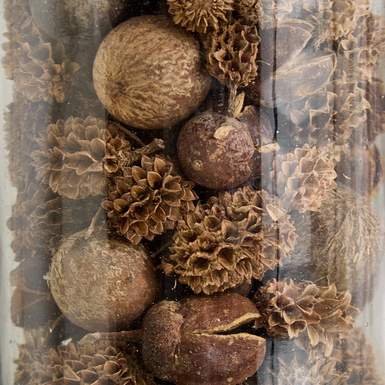 Lets Garden Hues Dried Mix Dry Ball Fruit in Glass Jar