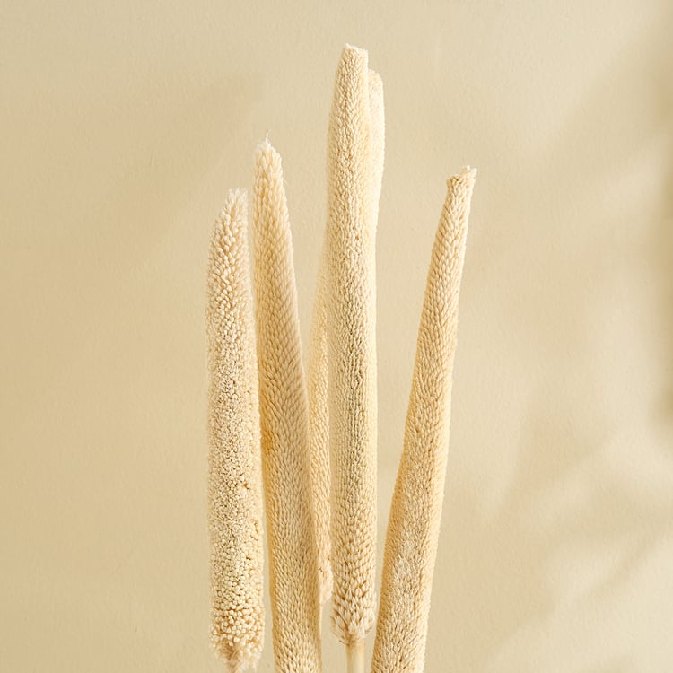 Lets Garden Nest Set of 5 Artificial Bazra Sticks - 69cm