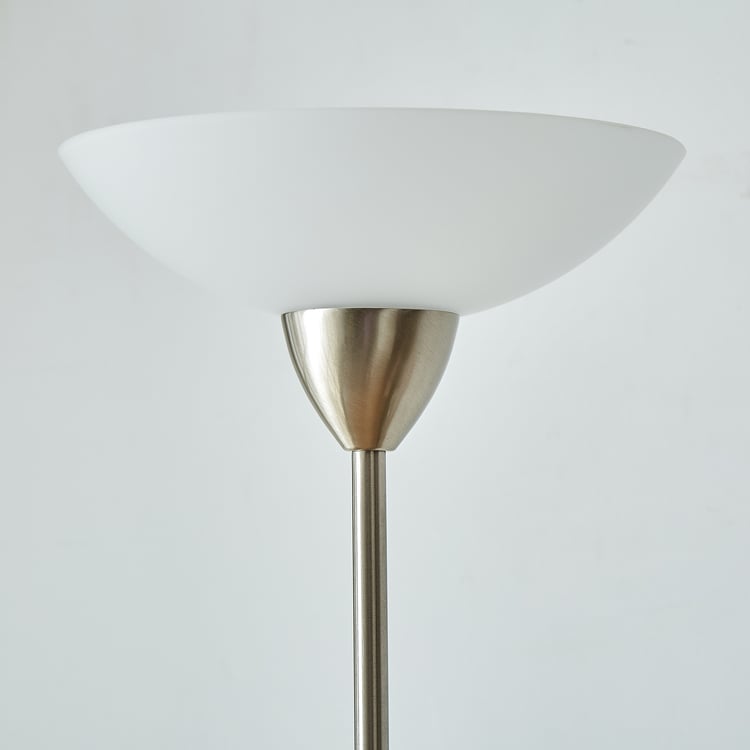 Fluorescence Glint Metal Floor Lamp