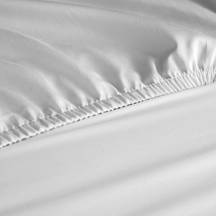 SPACES Essentials Cotton 144TC Printed 3Pcs Queen Fitted Bedsheet Set