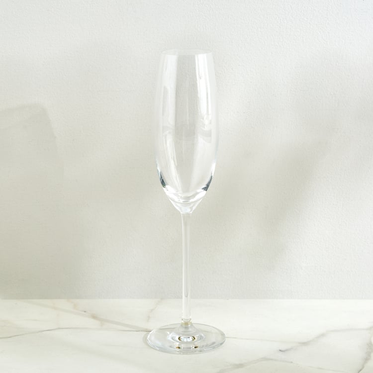 Wexford Akiko Lavish Flute Champagne Glass - 245ml