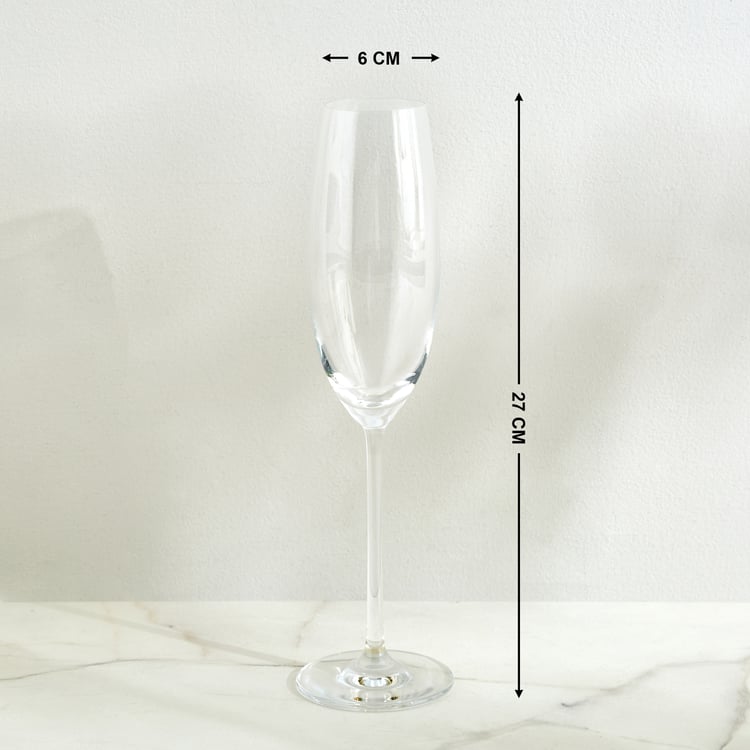 Wexford Akiko Lavish Flute Champagne Glass - 245ml
