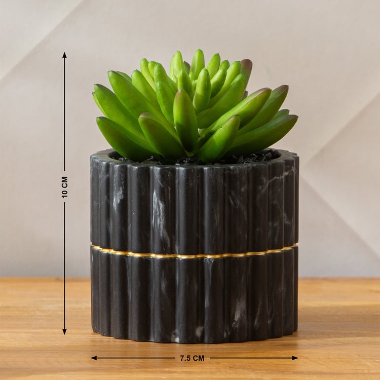 Monique Marco 5-Piece Ribbed Polyresin Bathroom Set