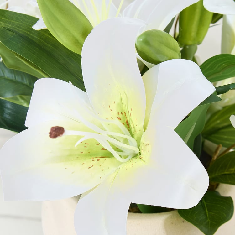 Lets Garden Hedge Artificial Lily Flowers in Ceramic Pot