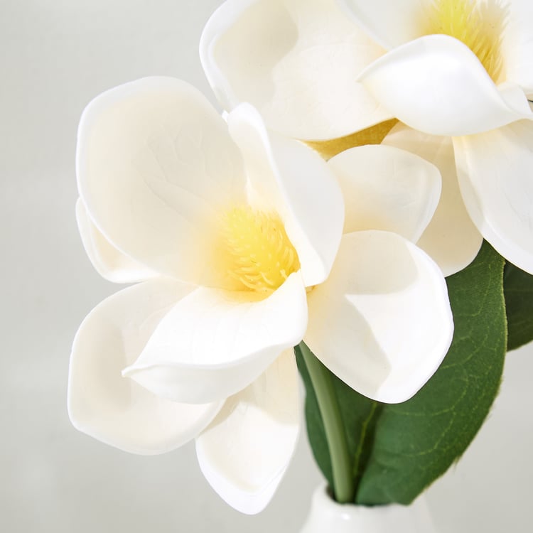 Lets Garden Hedge Artificial Orchid Flowers in Ceramic Vase