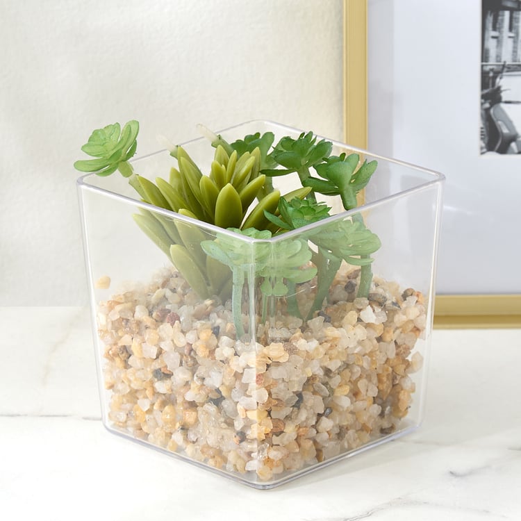 Lets Garden Hedge Artificial Succulent Plant in Pot