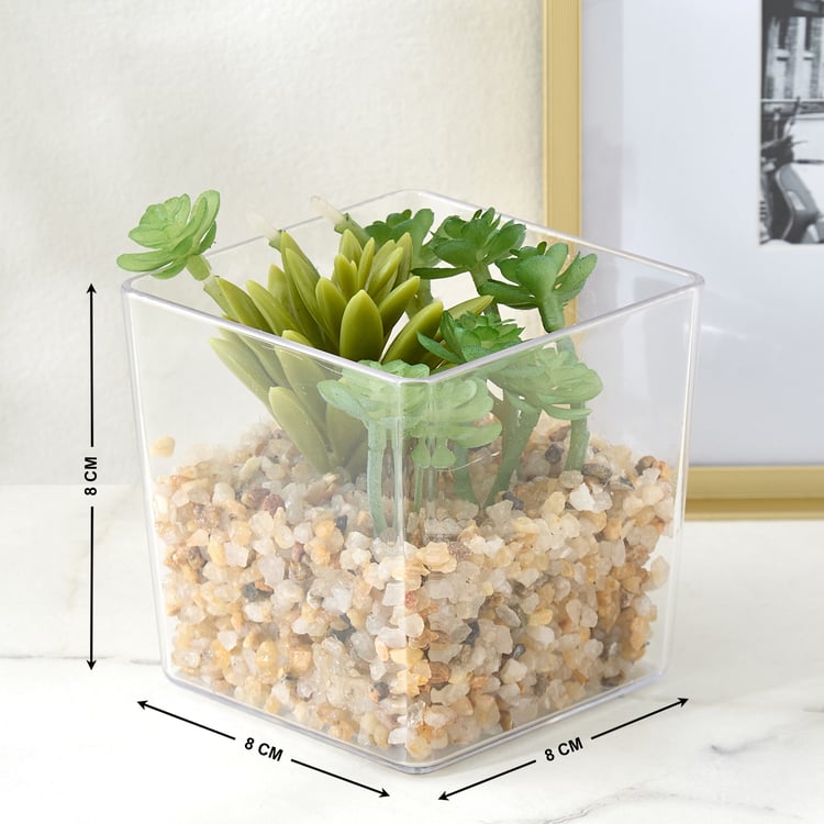 Lets Garden Hedge Artificial Succulent Plant in Pot