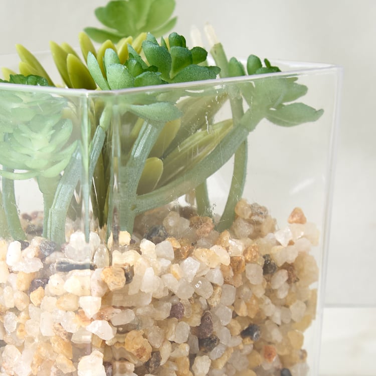 Lets Garden Hedge Artificial Succulent Plant in Pot