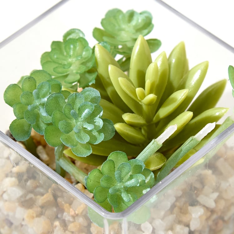 Lets Garden Hedge Artificial Succulent Plant in Pot