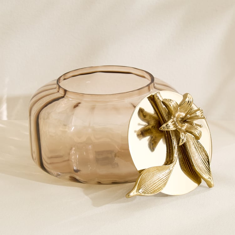 Amara Ava Glass Decorative Canister