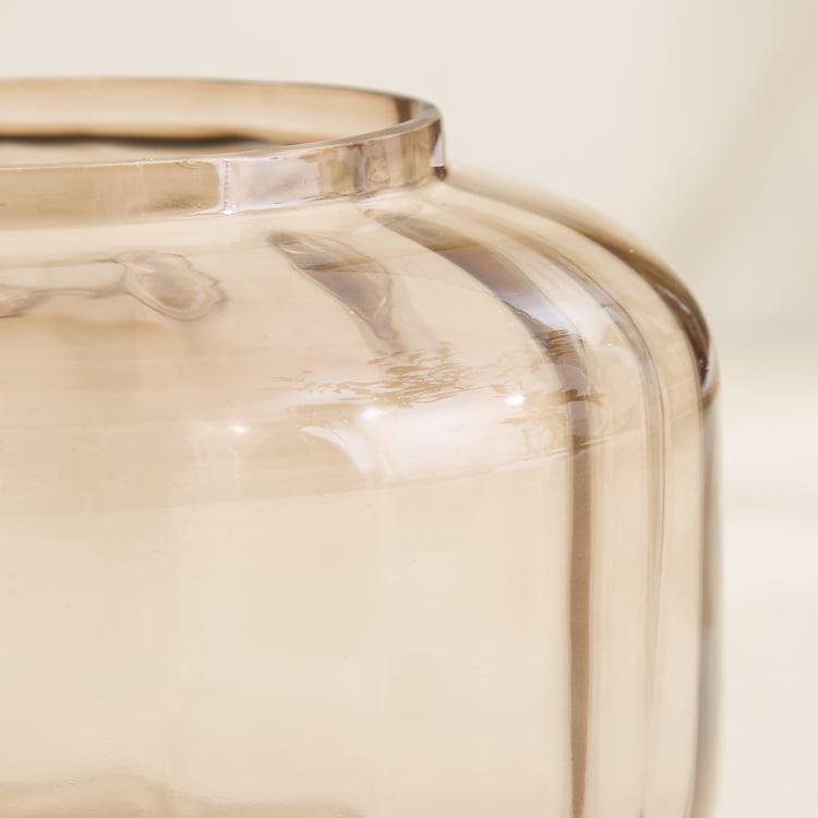 Amara Ava Glass Decorative Canister