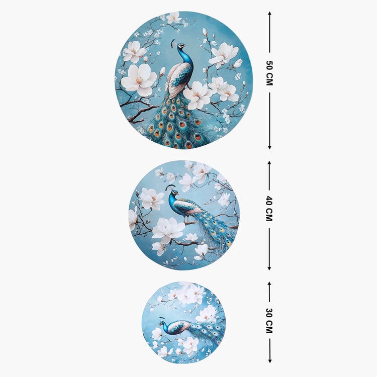 Brezza Set of 3 Canvas Peacock Picture Frames