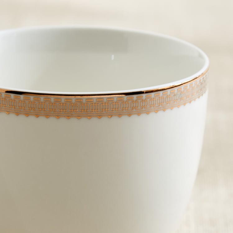 Altius Gris Bone China Printed Cup and Saucer - 200ml