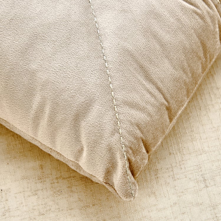 Clayo Forge Set of 2 Velvet Finish Filled Cushions - 40x40cm