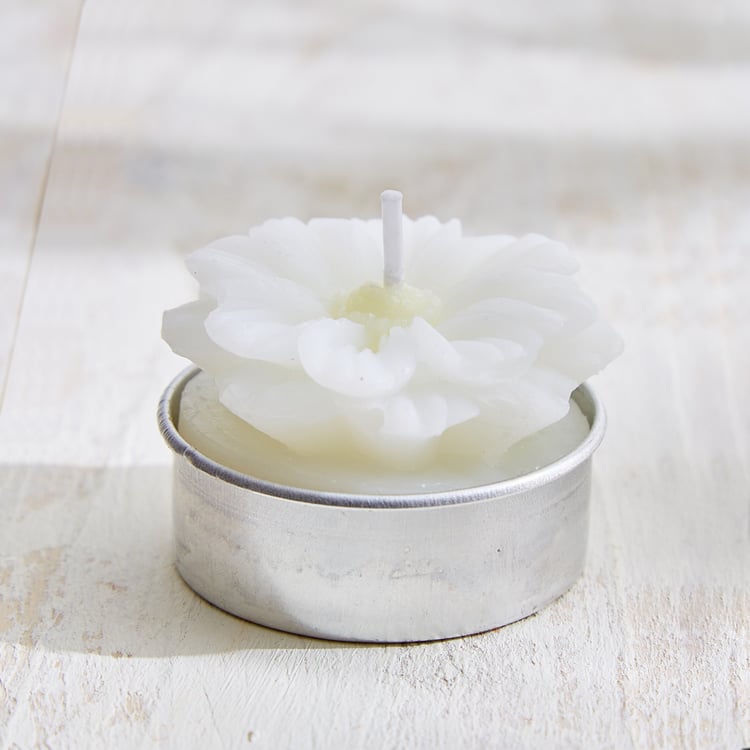 Vicente Ivy Set of 6 Floral Scented T-Light Candles