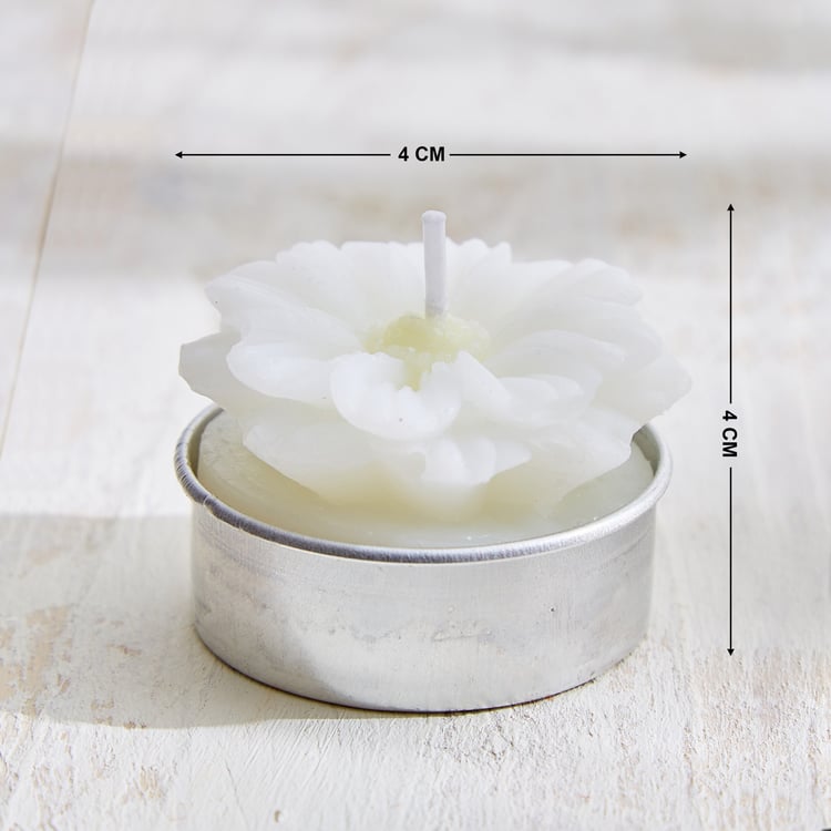 Vicente Ivy Set of 6 Floral Scented T-Light Candles