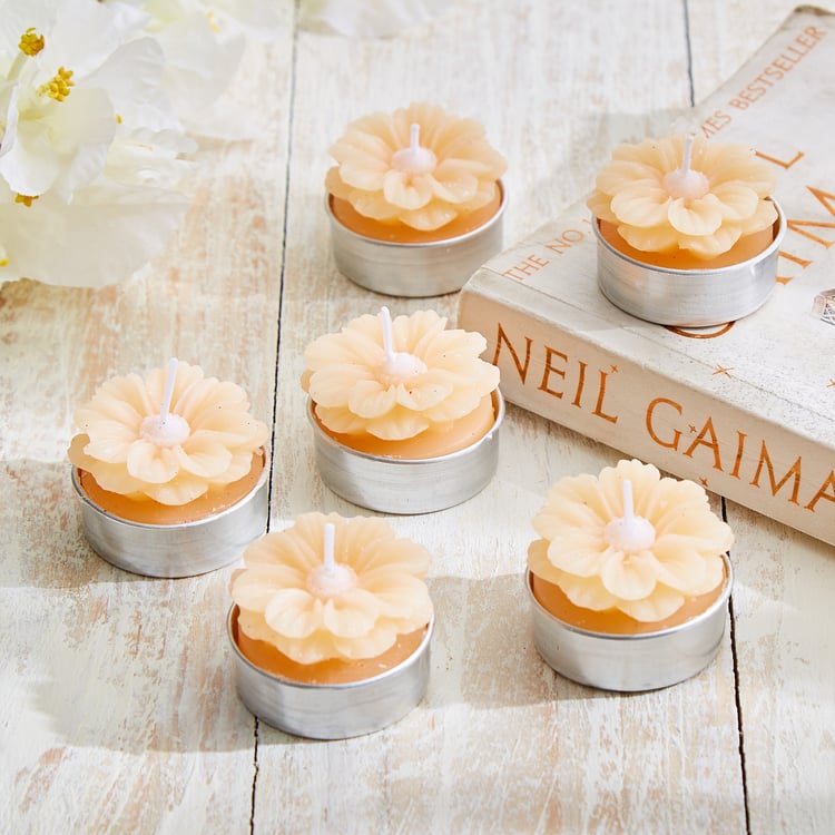 Vicente Ivy Set of 6 Floral Scented T-Light Candles