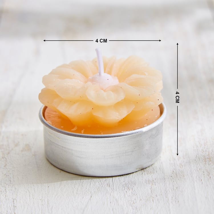 Vicente Ivy Set of 6 Floral Scented T-Light Candles