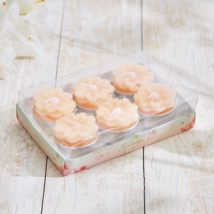 Vicente Ivy Set of 6 Floral Scented T-Light Candles